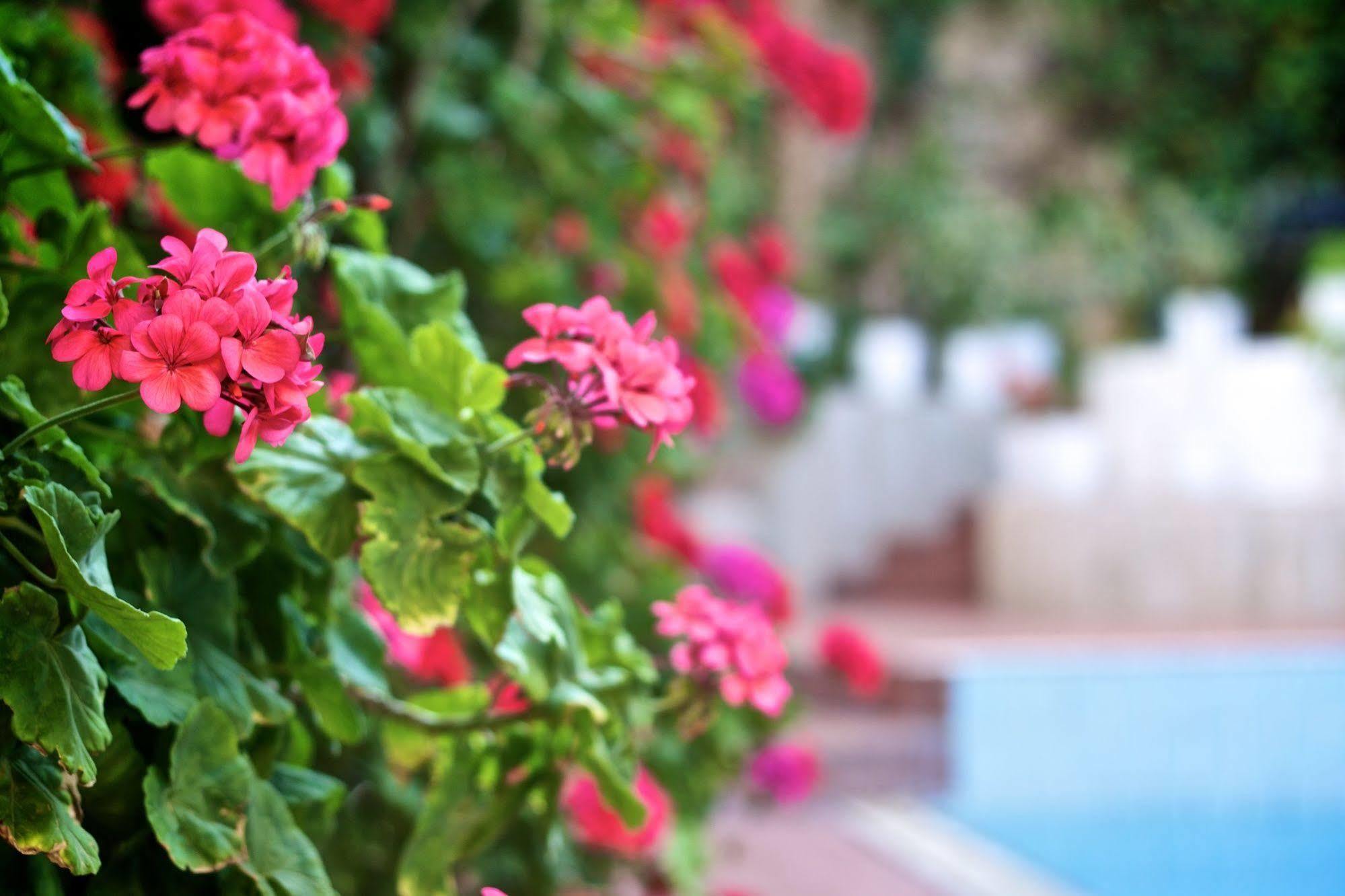 Fortezza Hotel Rethymnon Exterior foto